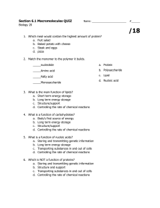Macromolecules Quiz: Biology 20