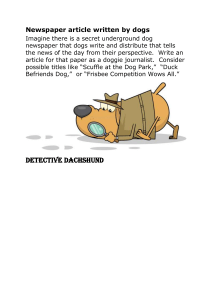 Newspaper article written by dogs- DETECTIVE DACHSHUND