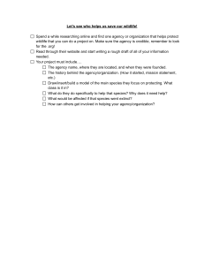 Wildlife Conservation Project Worksheet