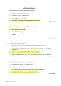 Water Properties Worksheet: Biology Questions & Answers