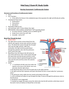 Cardiovascular System Study Guide for Nursing Students