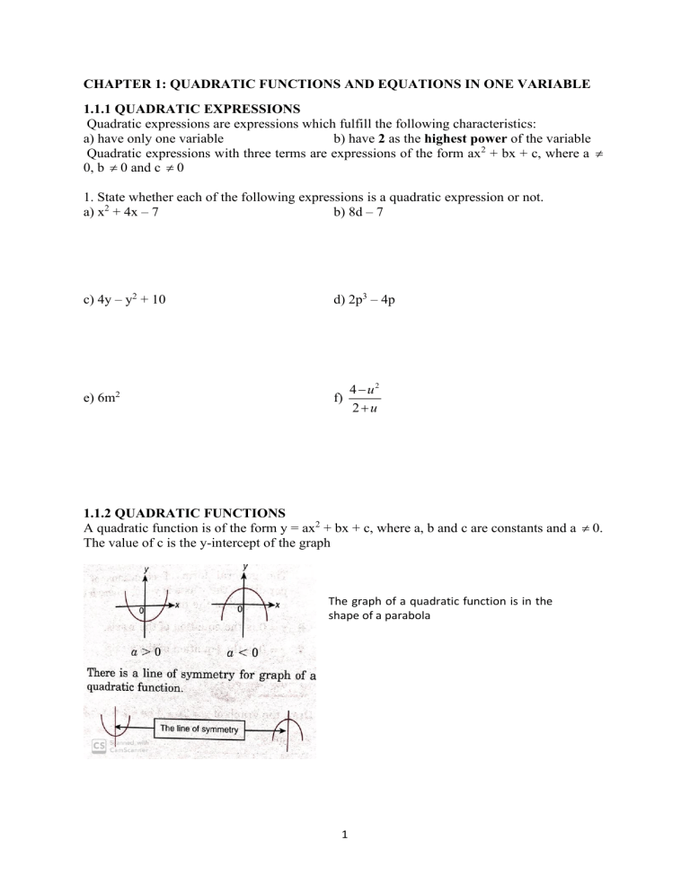 QUADRATIC FUNCTIONS BASICS