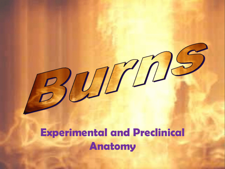 burns