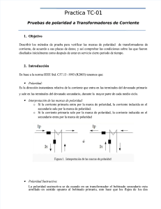 pdf-instruccion-de-trabajo-001-tc-polaridaddocx compress
