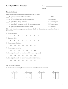 Monohybrid Cross Worksheet