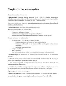 Actinomycètes : Taxonomie, Métabolisme et Sporulation