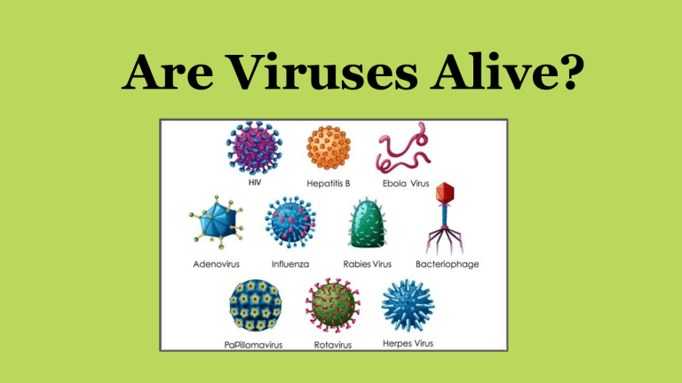 Are Viruses Alive