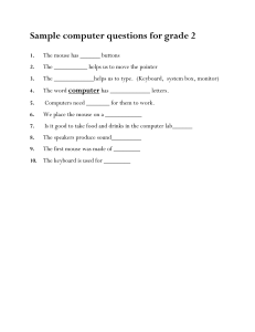 Grade 2 Computer Basics Worksheet
