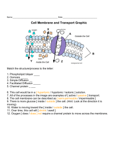 Cell Membrane & Transport Worksheet