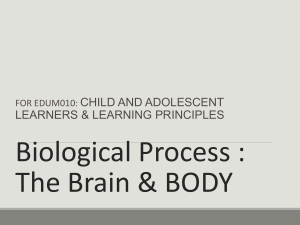 Child & Adolescent Development: Brain & Body