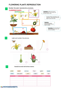Flowering Plant Reproduction Worksheet