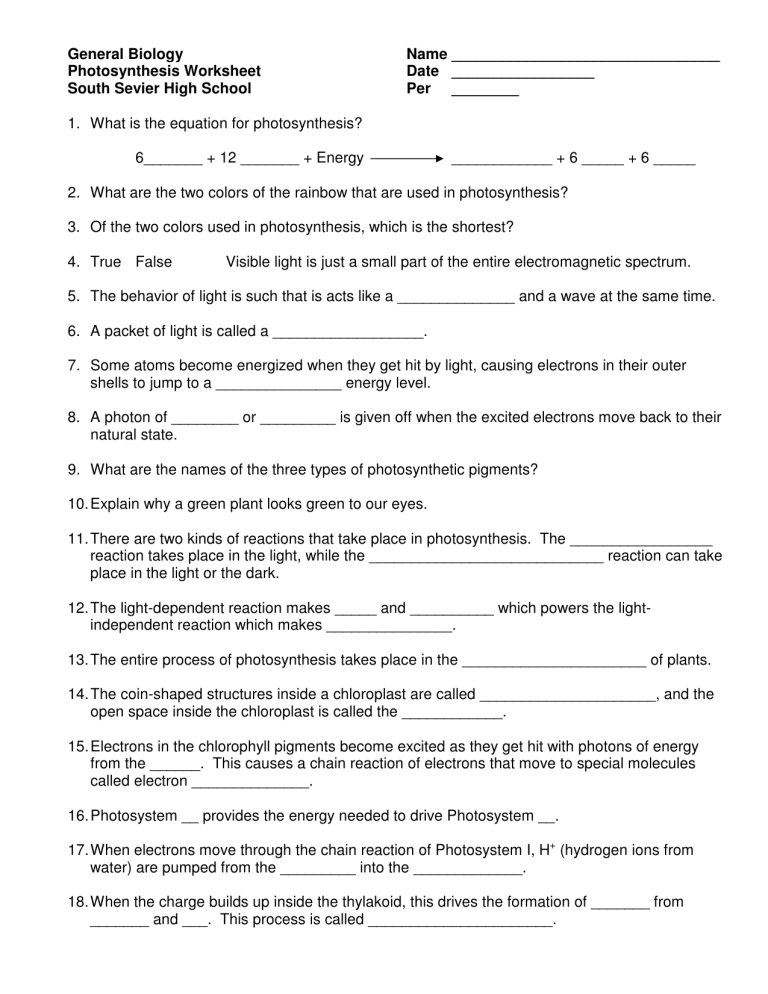 Photosynthesis Worksheet: General Biology High School