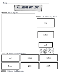 All About My Leaf: Elementary Science Worksheet