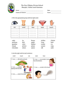 Five Senses Worksheet for Elementary School