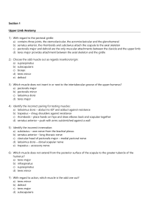 Upper Limb Anatomy Exam Questions