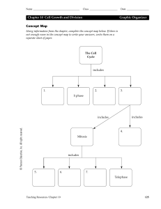 Cell Cycle Graphic Organizer