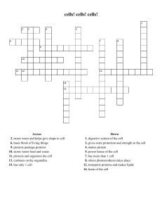 Cell Biology Crossword Puzzle