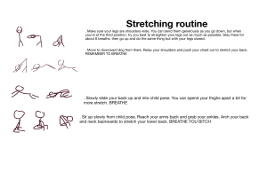Stretching Routine Guide
