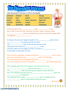Digestive System Worksheet: Fill in the Blanks
