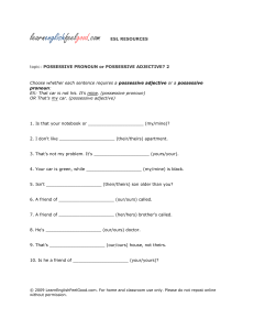 Possessive Pronouns & Adjectives Worksheet