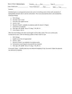 Labor and Delivery Medical Record