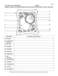 Plant Cell Worksheet: Label & Define Cell Parts