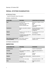 Renal System Examination Guide: Symptoms & Diagnosis