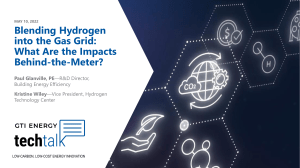Hydrogen Blending in Gas Grids: Behind-the-Meter Impacts