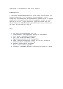 Partnership Business Entity: Advantages & Structure