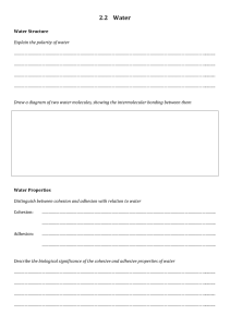 Water Properties Worksheet: Polarity, Cohesion, Adhesion