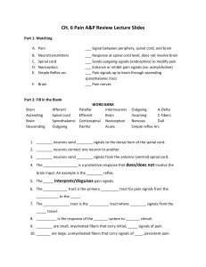 Pain A&P Review: Lecture Slides & Questions