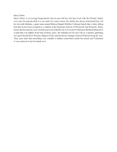Harry Potter Story Excerpt