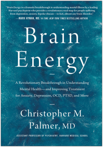 Brain Energy: Mental Health Breakthrough by Dr. Palmer