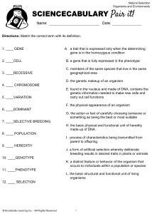 Natural Selection Vocabulary Worksheet