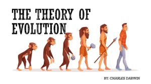 Theory of Evolution by Darwin: A Presentation