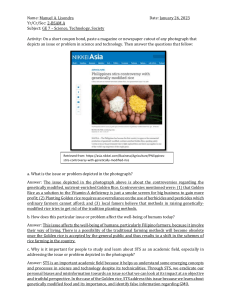 Golden Rice Controversy: STS Assignment