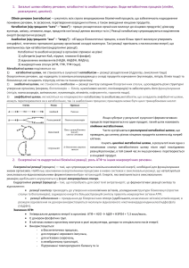 Біохімія: Метаболічні шляхи та роль АТФ
