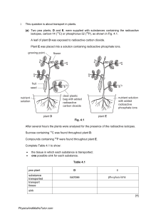 Plant Transport, Digestion & Haemoglobin Exam Questions