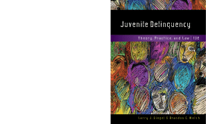 Juvenile Delinquency: Theory, Practice, and Law