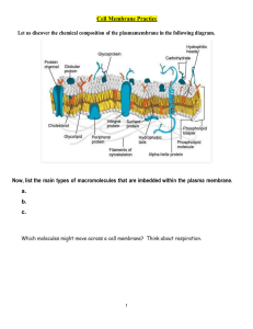 Cell Membrane Structure & Function Worksheet