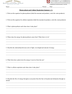 Photosynthesis & Cellular Respiration Worksheet