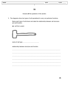 Cell Structure and Function Worksheet