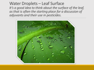 Water Droplets on Leaf Surface: Pesticide Adjuvants
