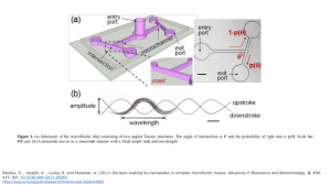 Behavior , Intelligence, and Decision making of Worms in Maze