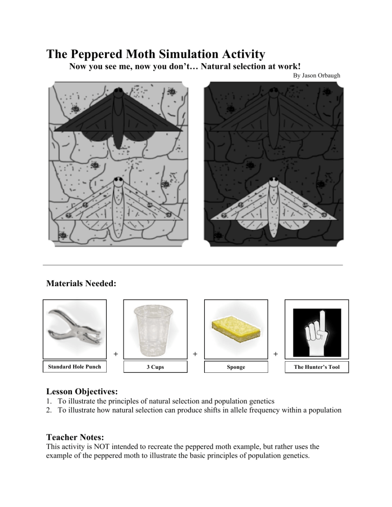 Peppered Moth Simulation Natural Selection Activity