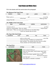Food Chain & Web Worksheet: Fill-in-the-Blanks