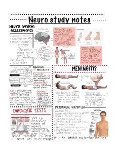 Neuro System Study Notes: Assessments, Meningitis, Stroke