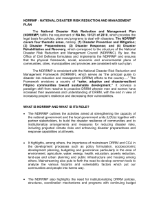National Disaster Risk Reduction and Management Plan