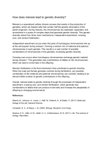 Meiosis and Genetic Diversity: Independent Assortment & Crossing Over