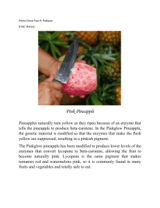 Pinkglow Pineapple: Science & Safety